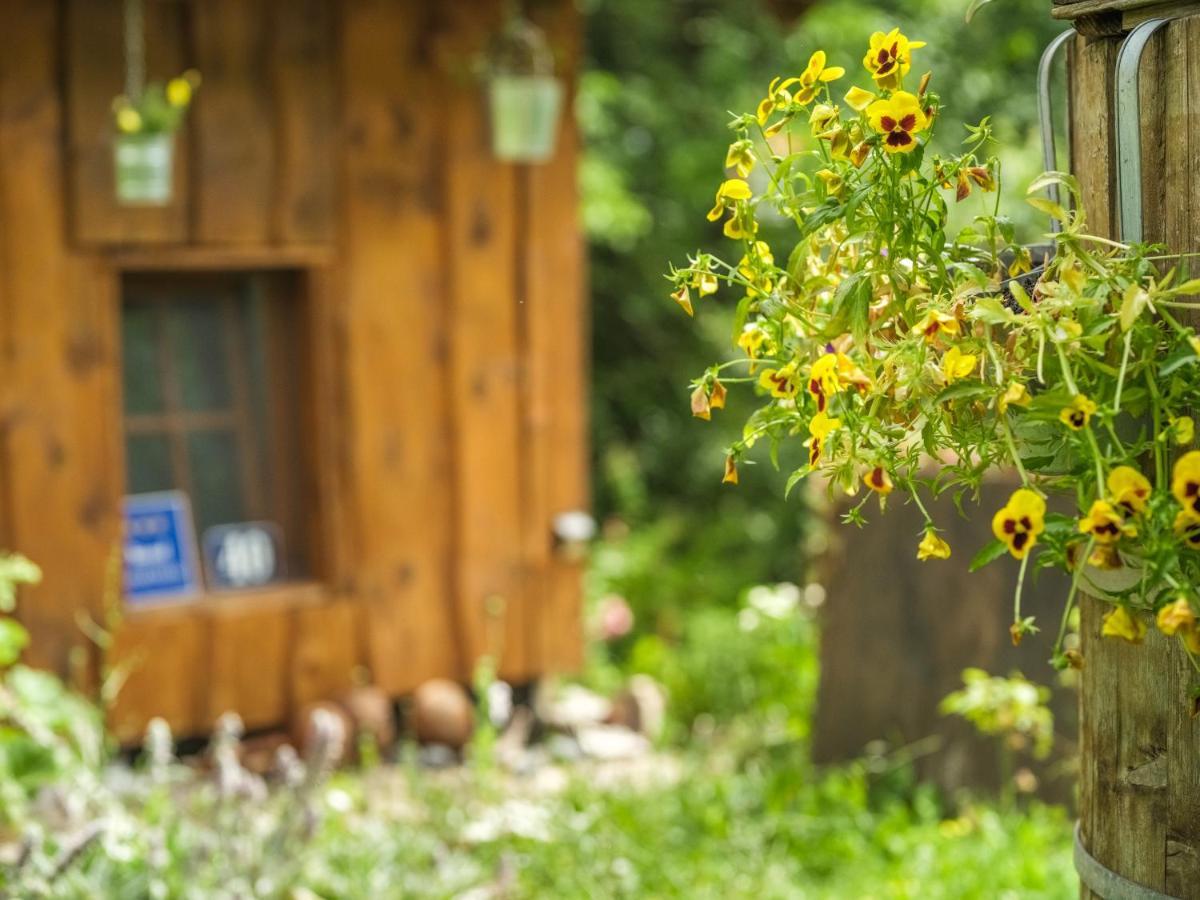 Yeti Cabin Плитвица Село Екстериор снимка